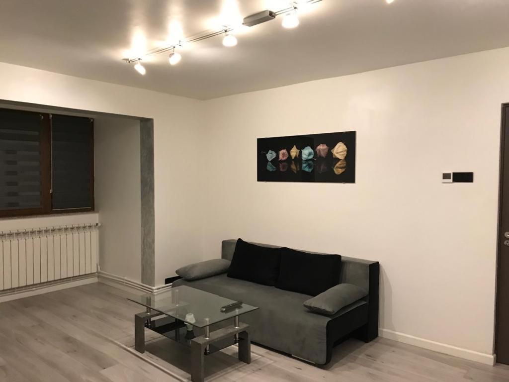 Elegant & Silver Luxury Apartament Крайова Екстер'єр фото